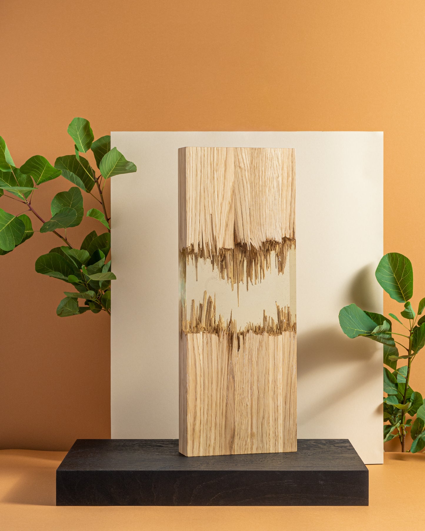 Luminous Flat Timber