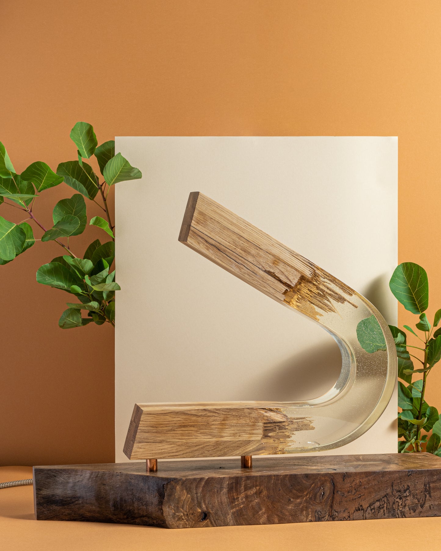 Luminous Arched Timber